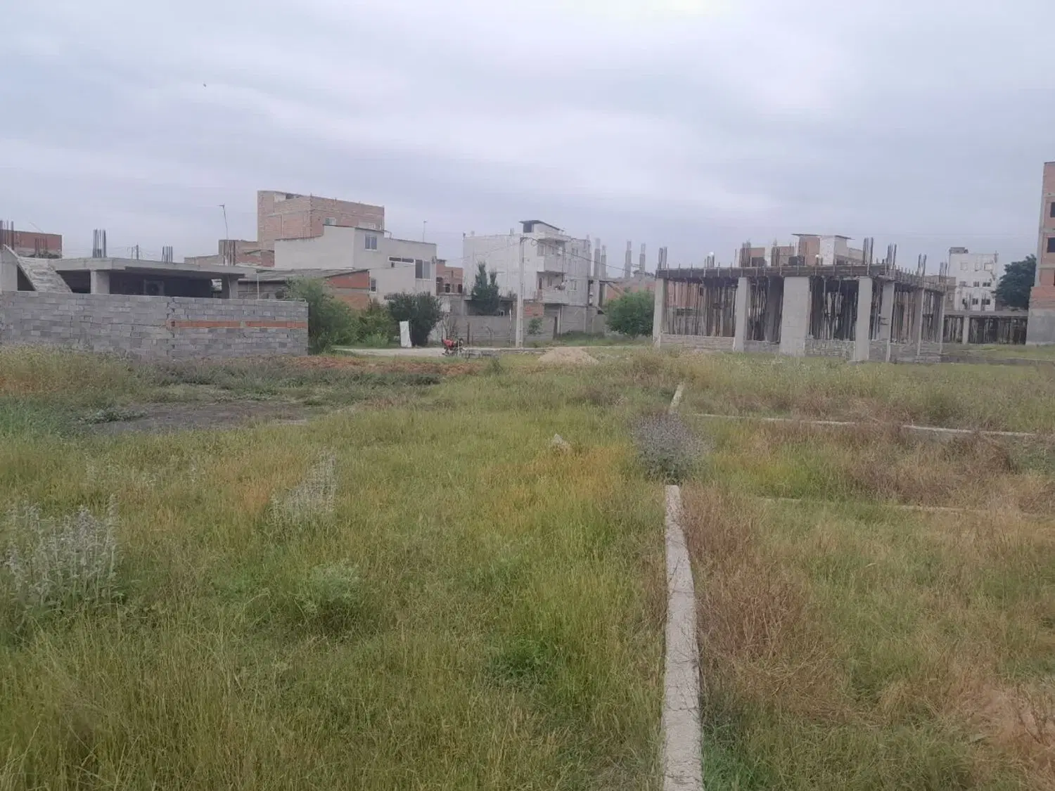 زمین مسکونی در طالب اباد نکا