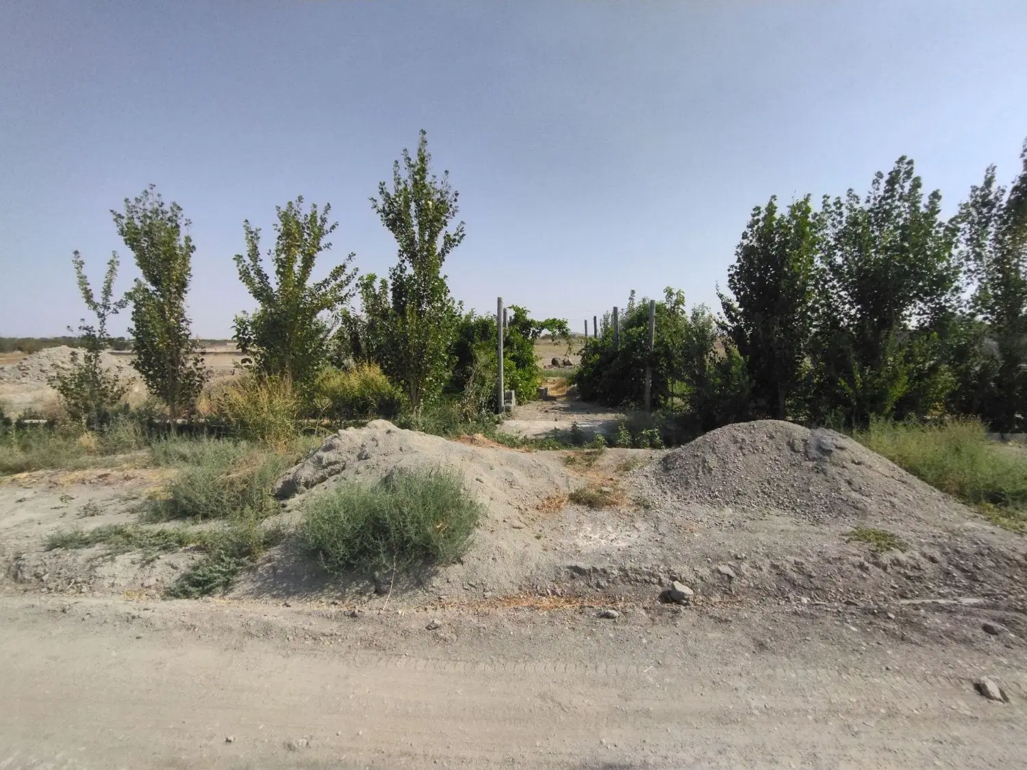 باغچه ۴۰۰ متری سند تک برگ