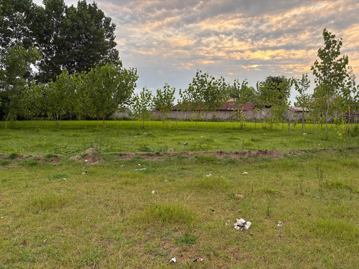 فروش دو قطعه زمین مسکونی (روستایی)