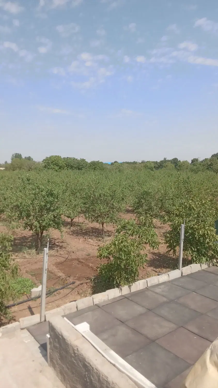 باغ ۳۳۰۰ متری در بیدستان