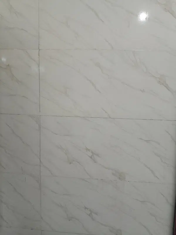 سلام کارگاه تمام مصقف بزرگ تمام سرامیک شده