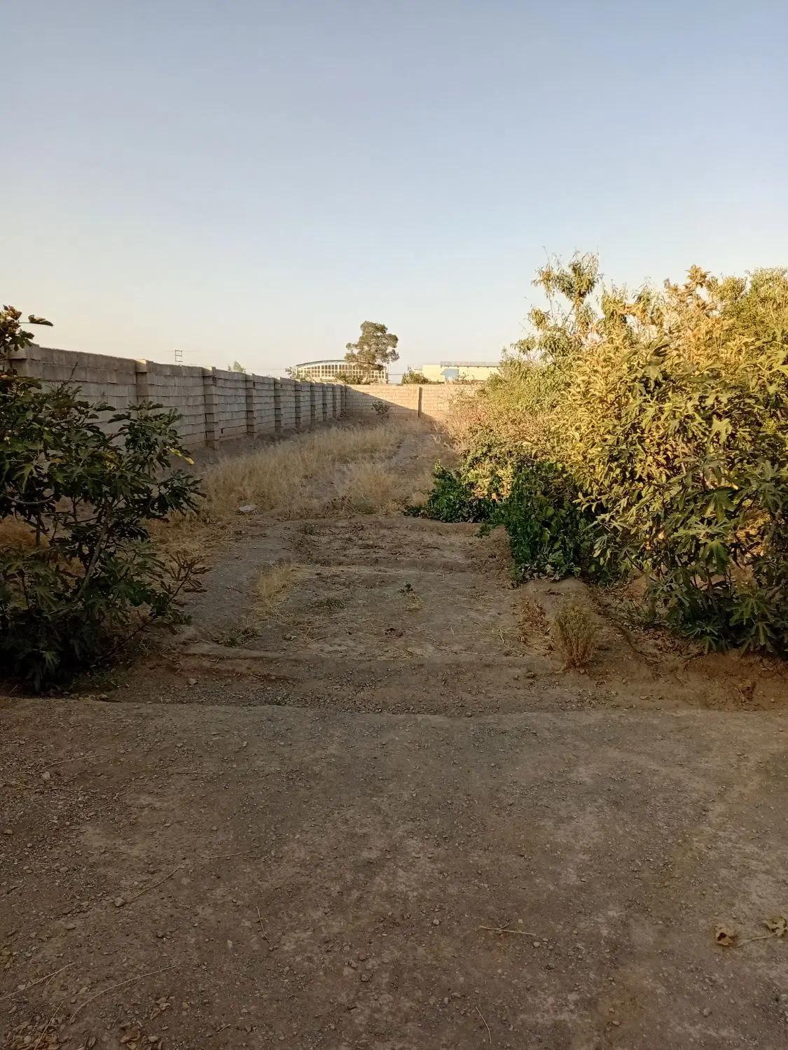 فروش باغ