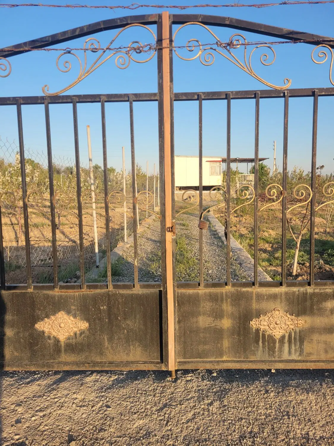 باغ درمحدودیه شهرک آی تی