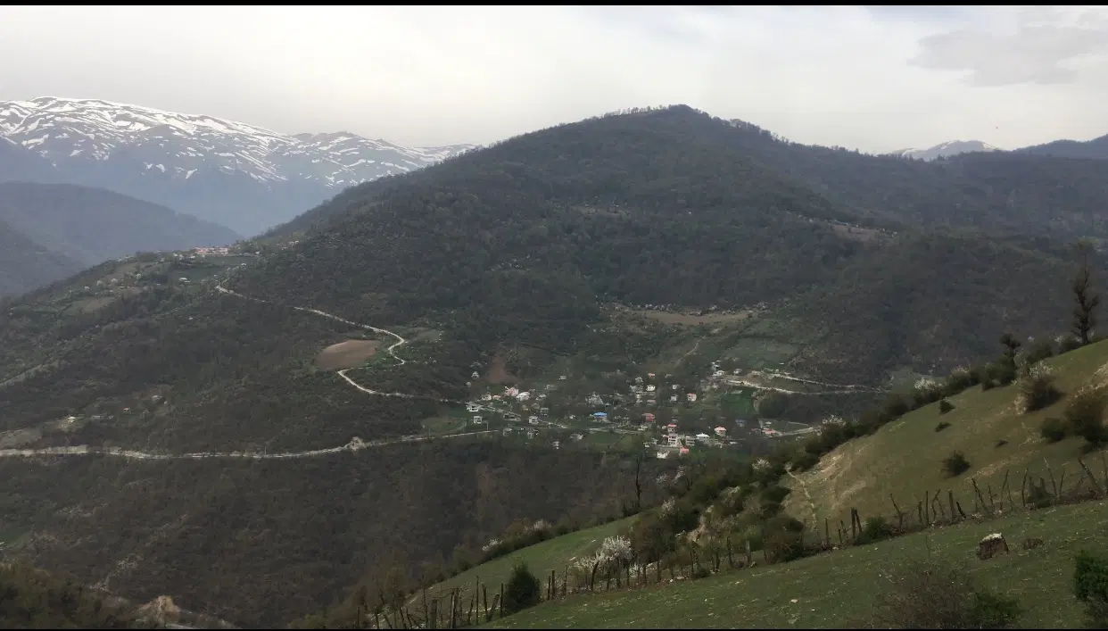 زمین ییلاقی در روستای لوعیم