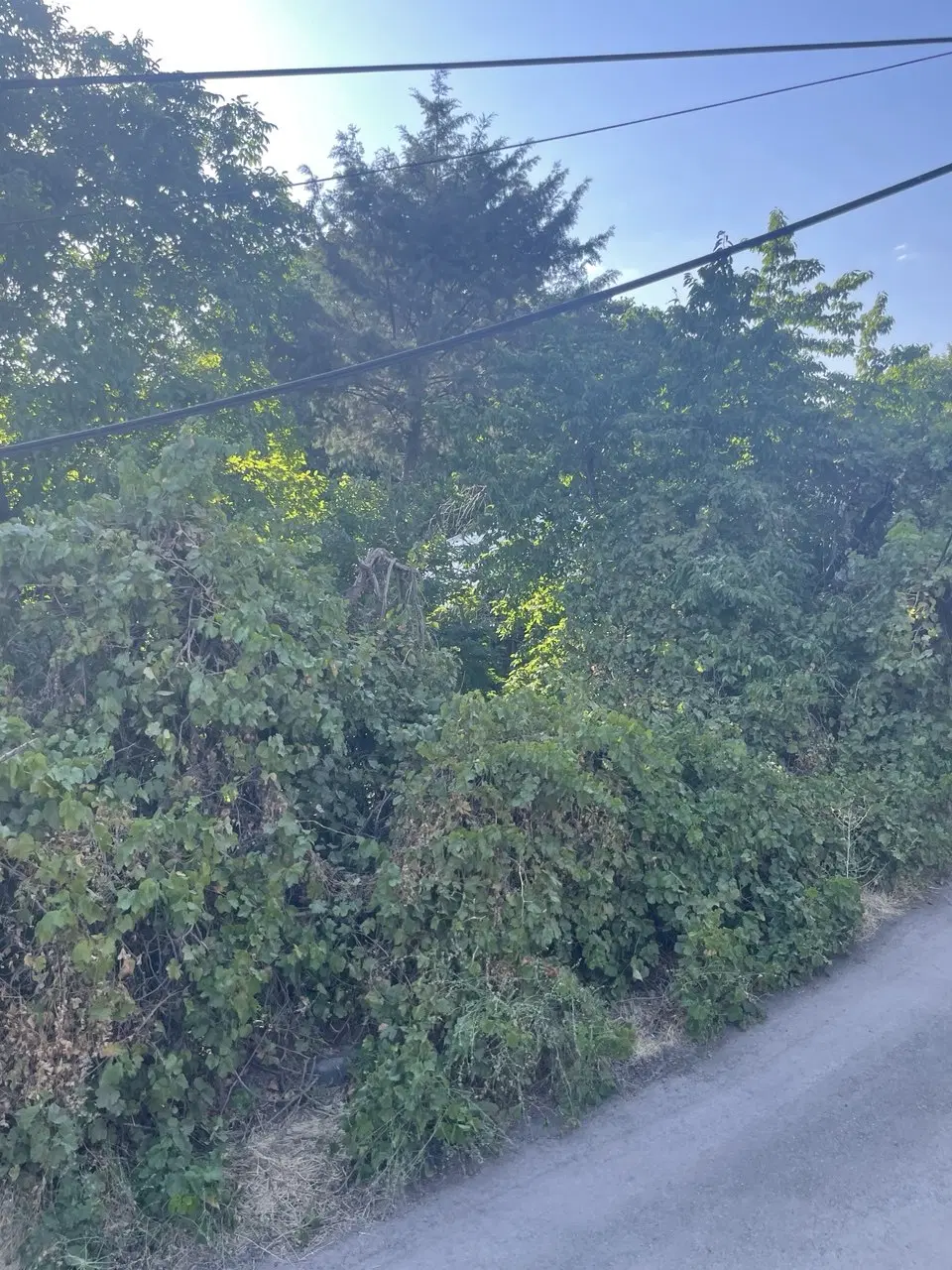 خانه ویلایی متراژ ۱۵۰۰ متر سند دار روستای جوستان