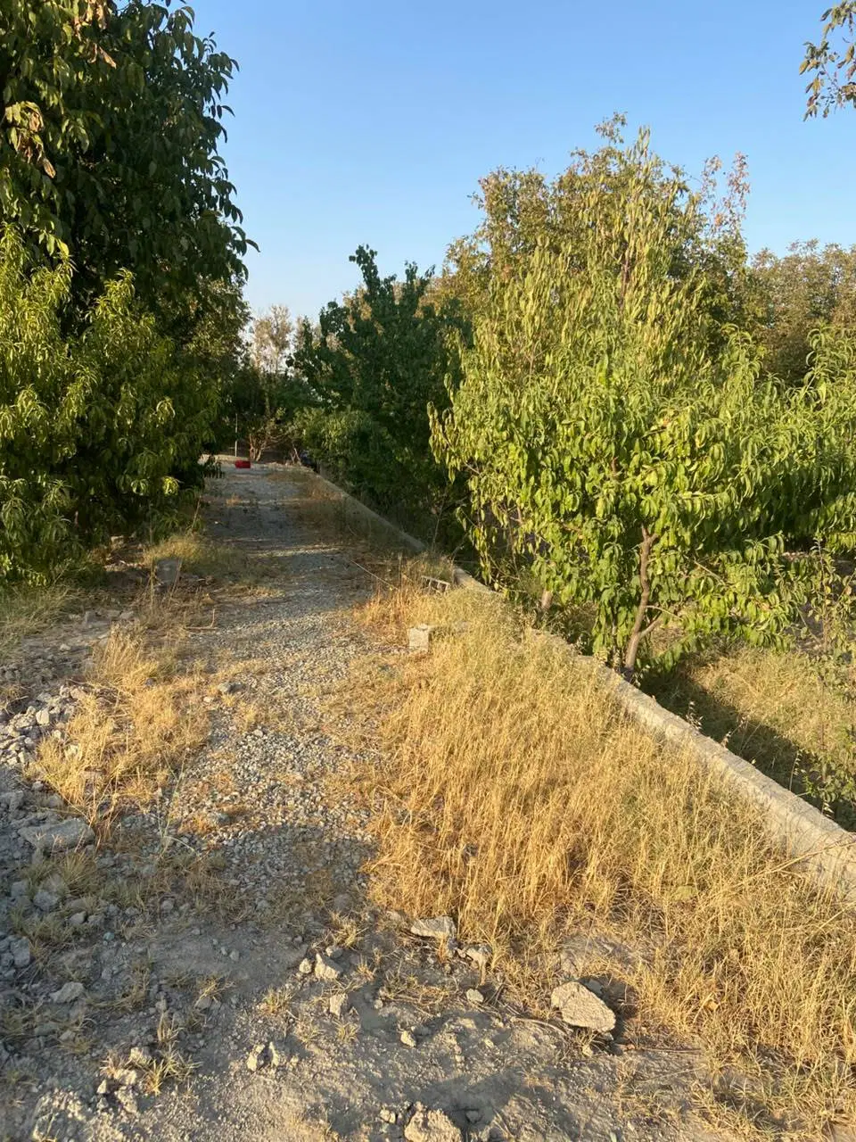 فروش باغ