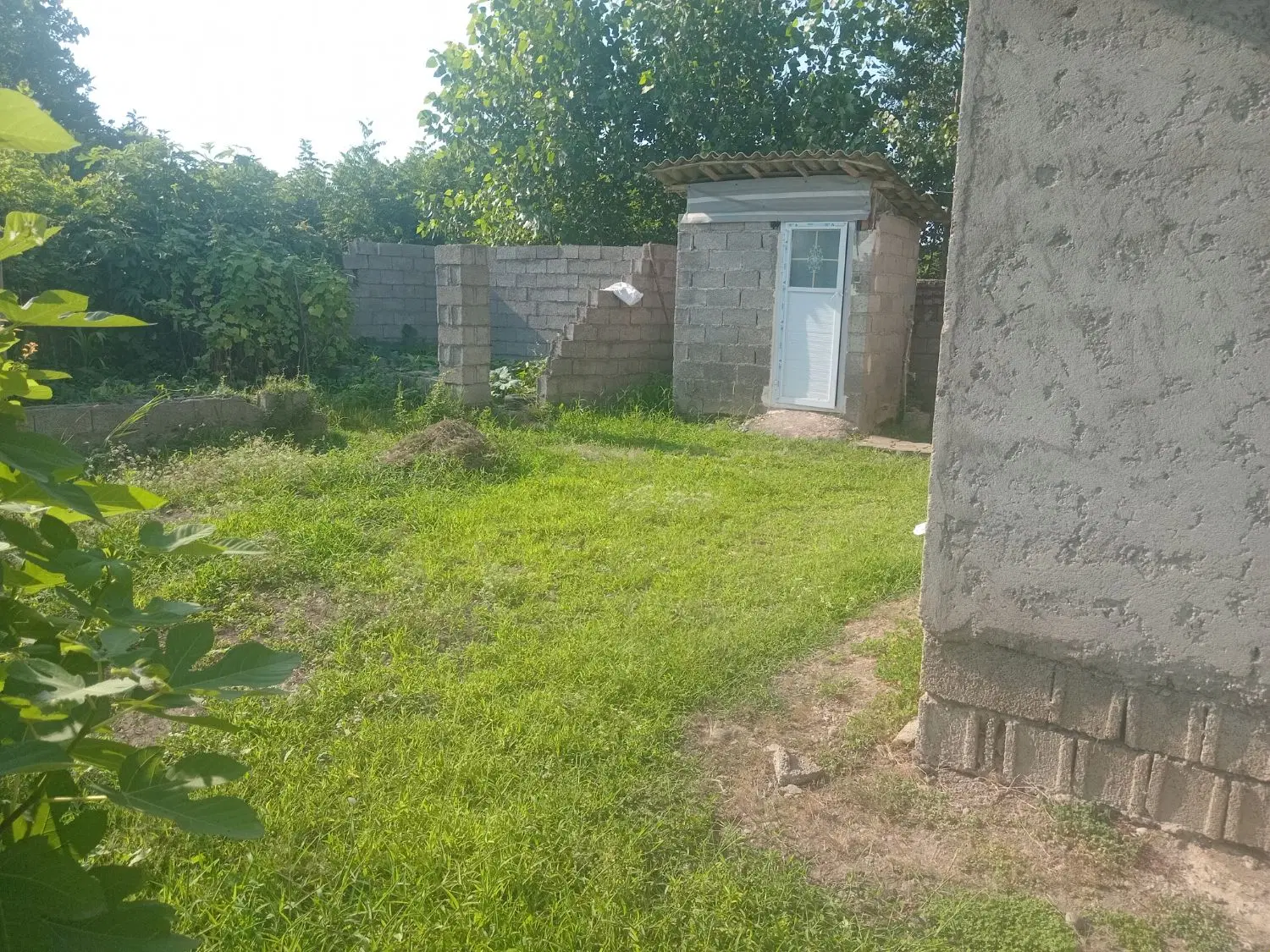 علت مالی
