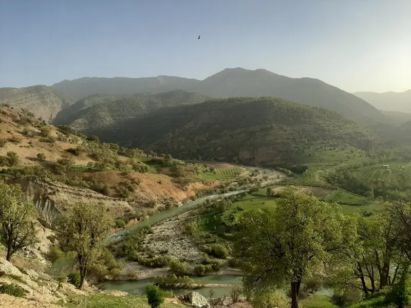 زمین کشاورزی قلات