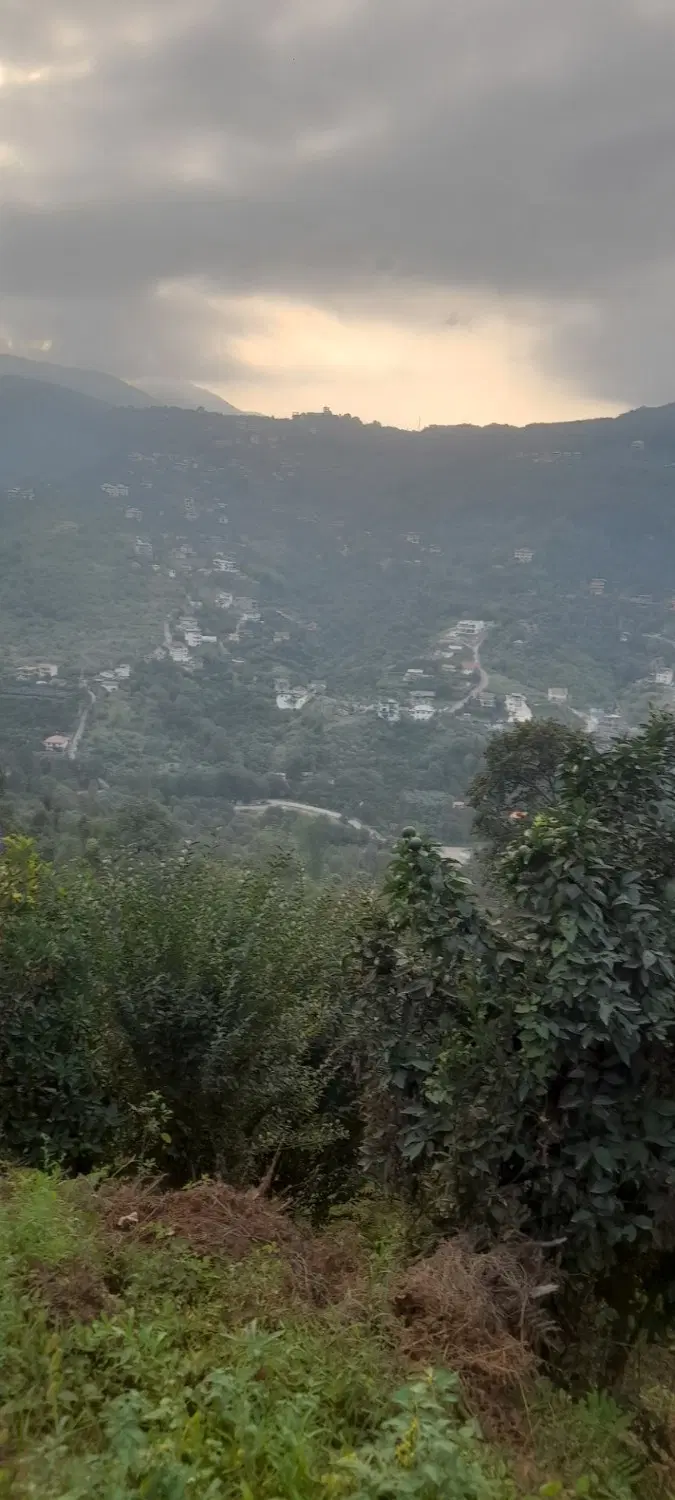 ویلا سویسی چوبی