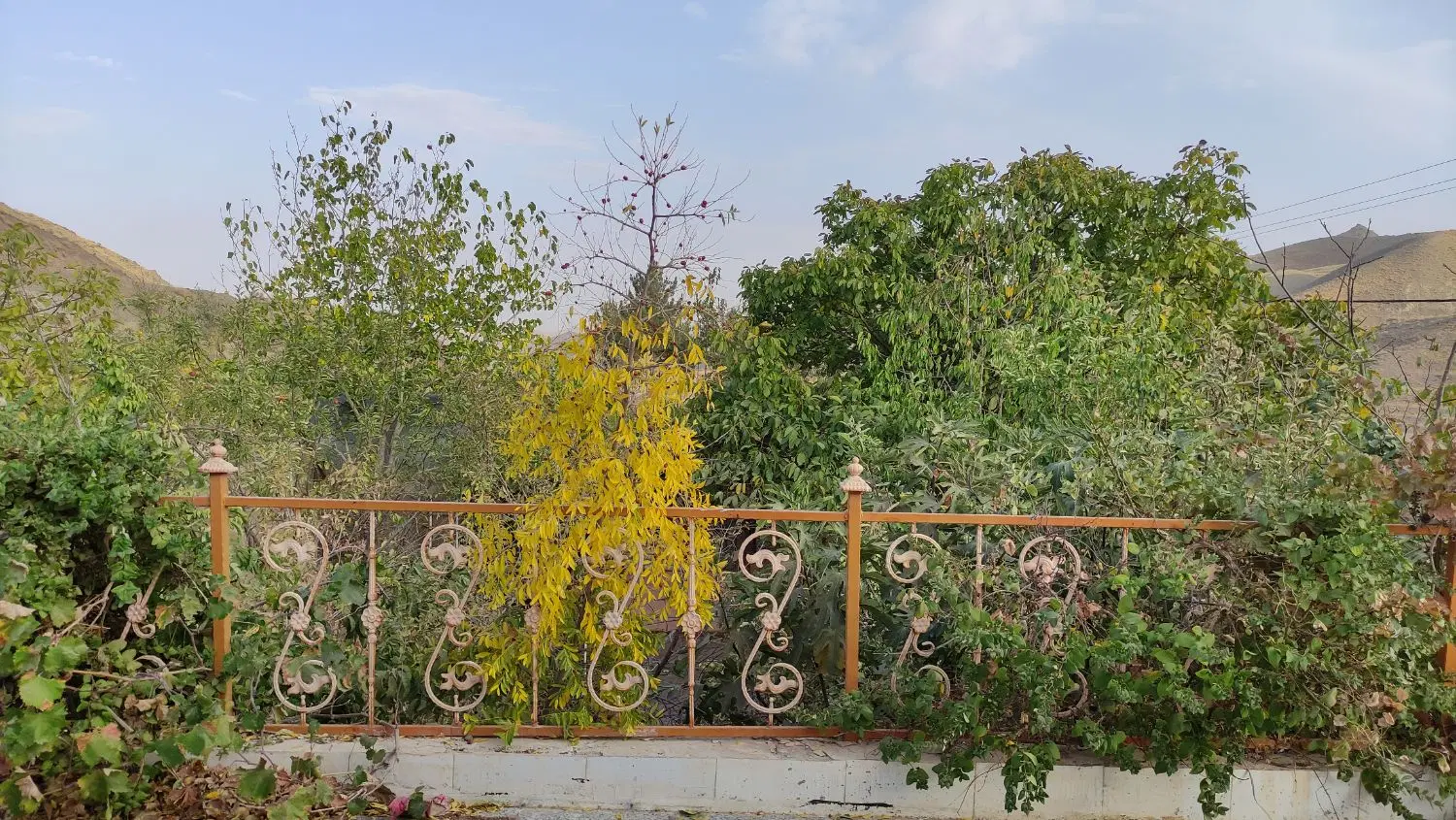اجاره روزانه خونه باغ ییلاقی دوبلکس