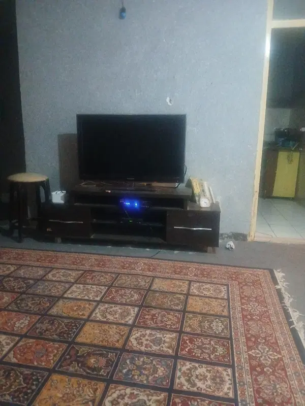 به دنبال هم خانه خانم هستم