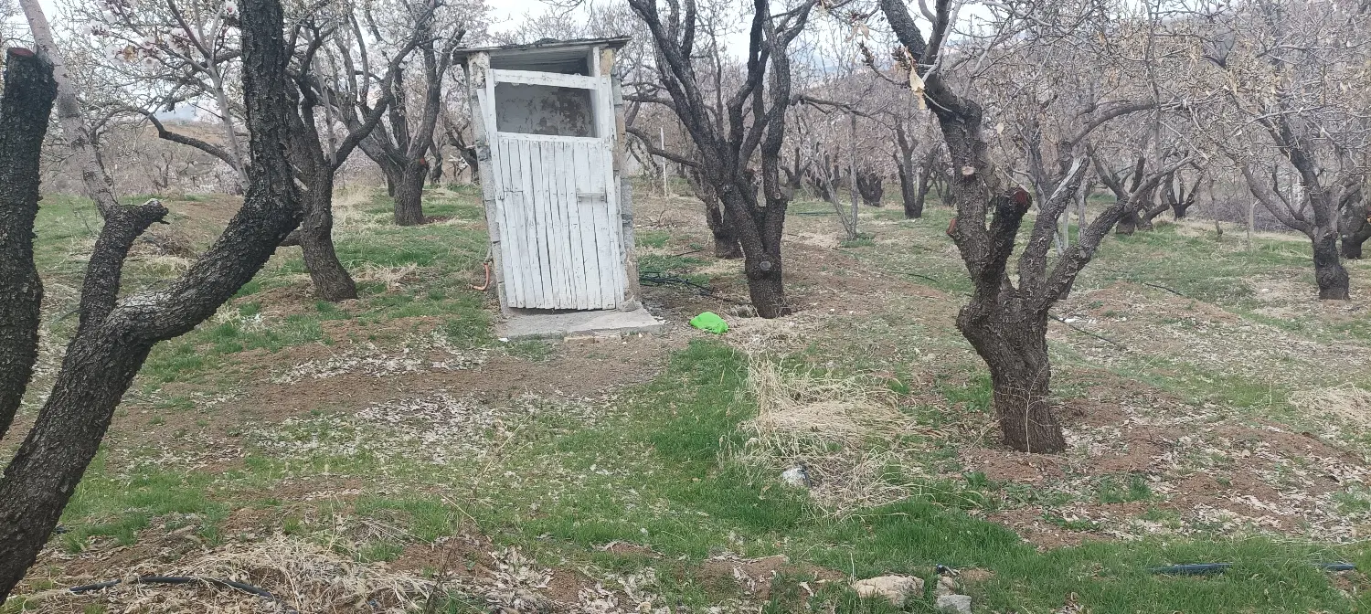 6000 متر باغ بادام فنس کشی شده آلاچیق دار سنددار