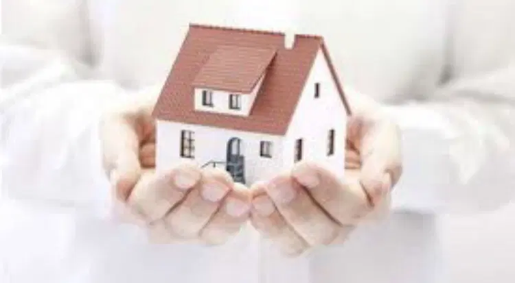 زمین درب حیاط سند تک برگ
