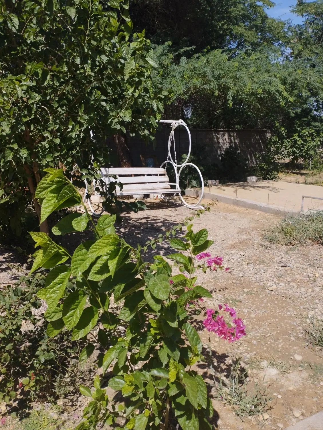 باغ