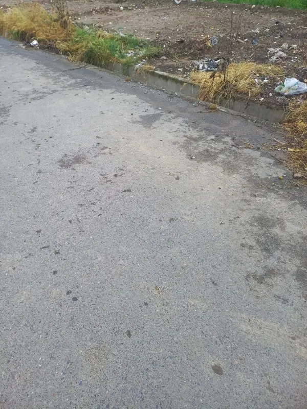 زمین گدم آباد