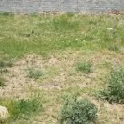 زمین مسکونی شهرک کوندج