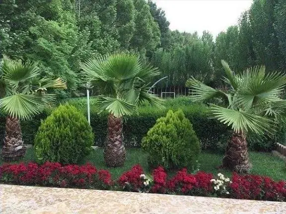 فروش باغشهر گویم