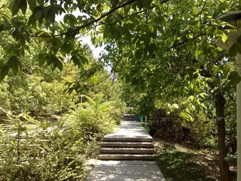 زمین سیادک