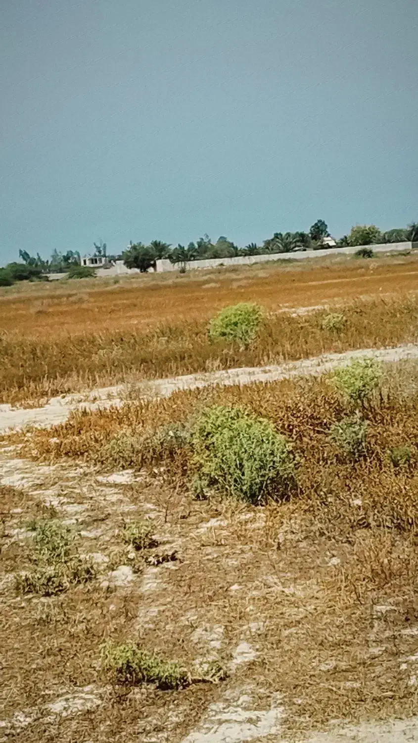 زمین فروشی