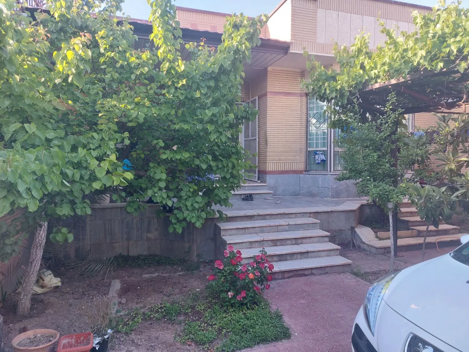 ویلایی ۲۵۰ متری شمالی