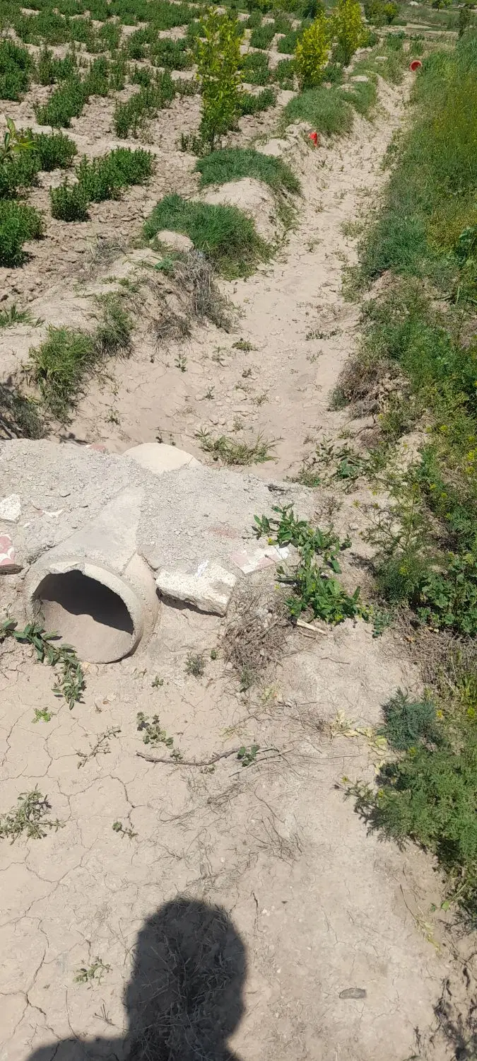 زمین کشاورزی