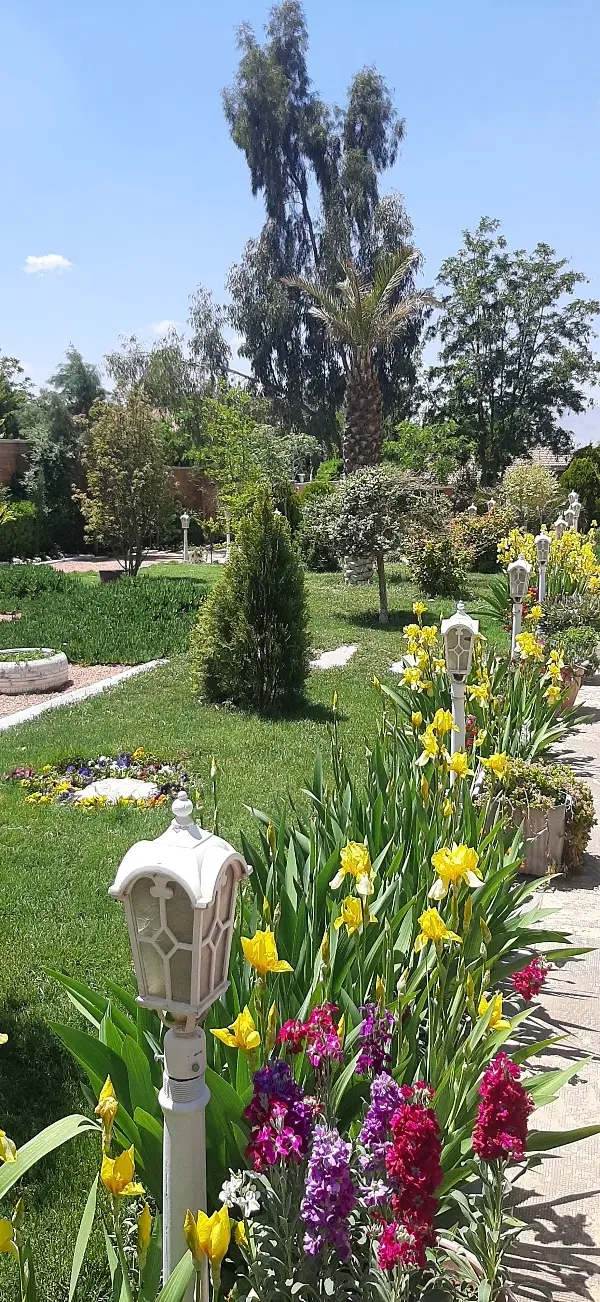 زمین باغی زردنجان