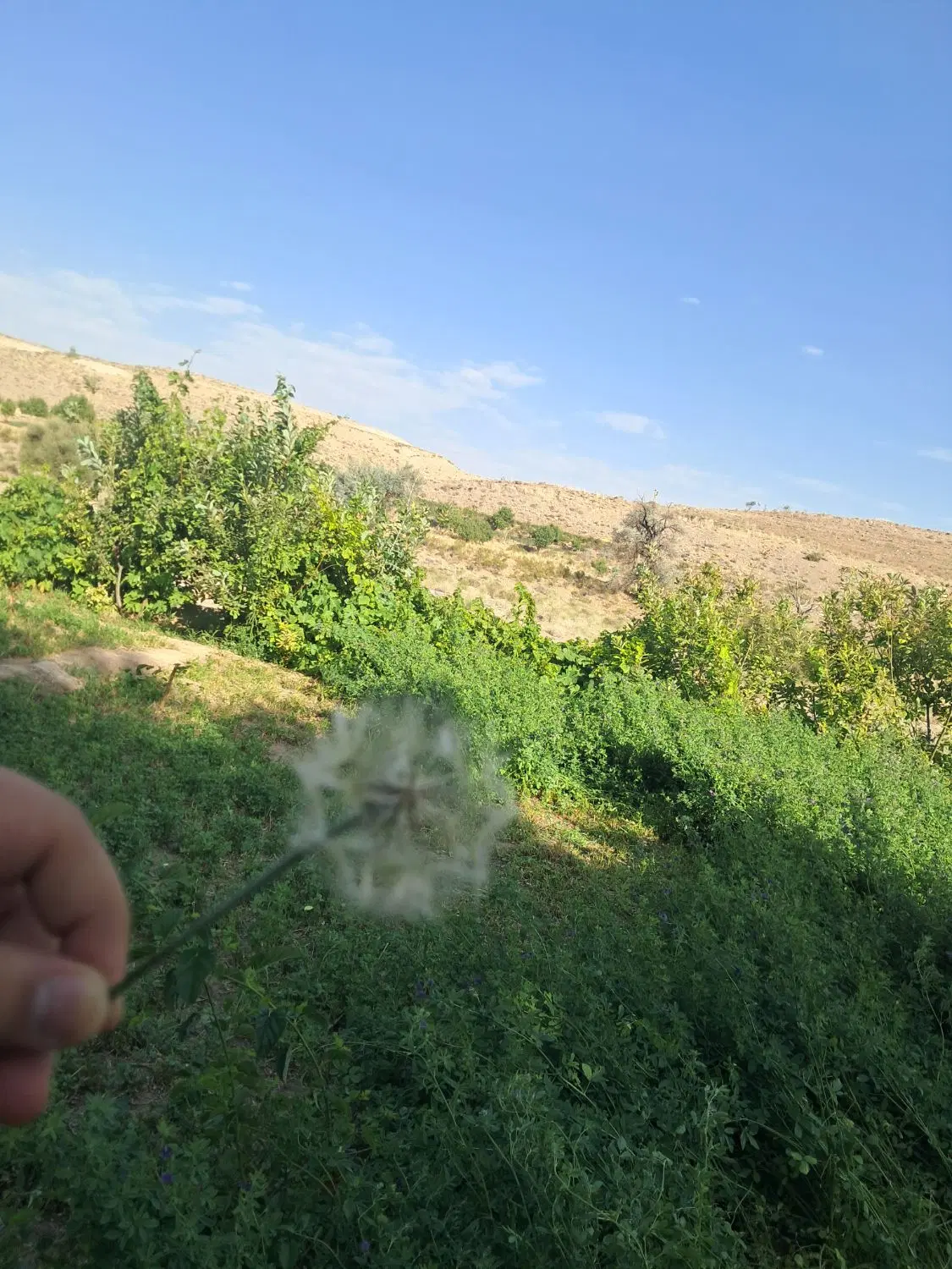 فاز ۳چمران
