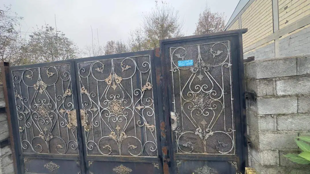 فروش زمین ۳۰۰ متری بر خیابان با ویوی ابدی جنگل