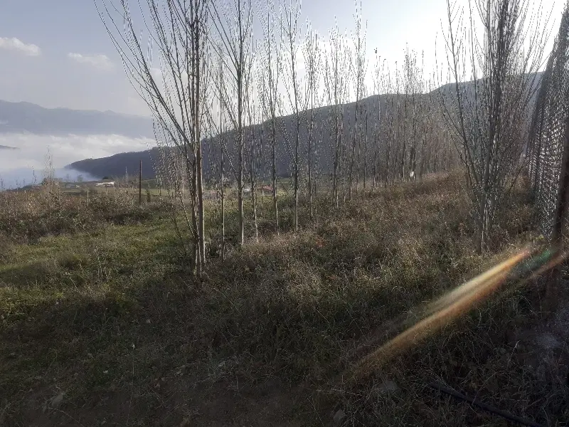 زمین در ونبین