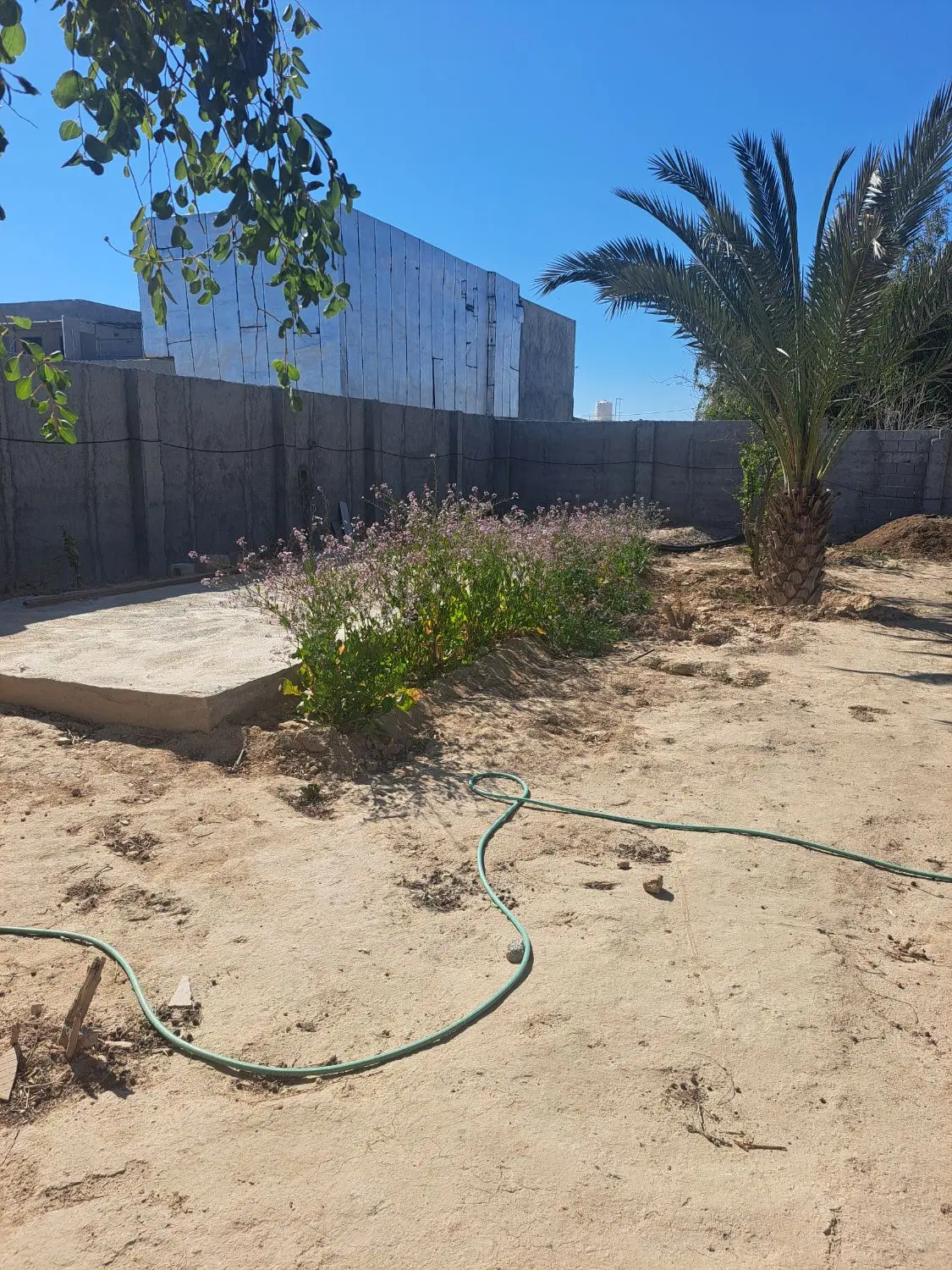 فروش باغ