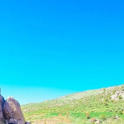 پژو ۸۴ و هزارمتر باغ سیب  معاوضه با نیسان وانت