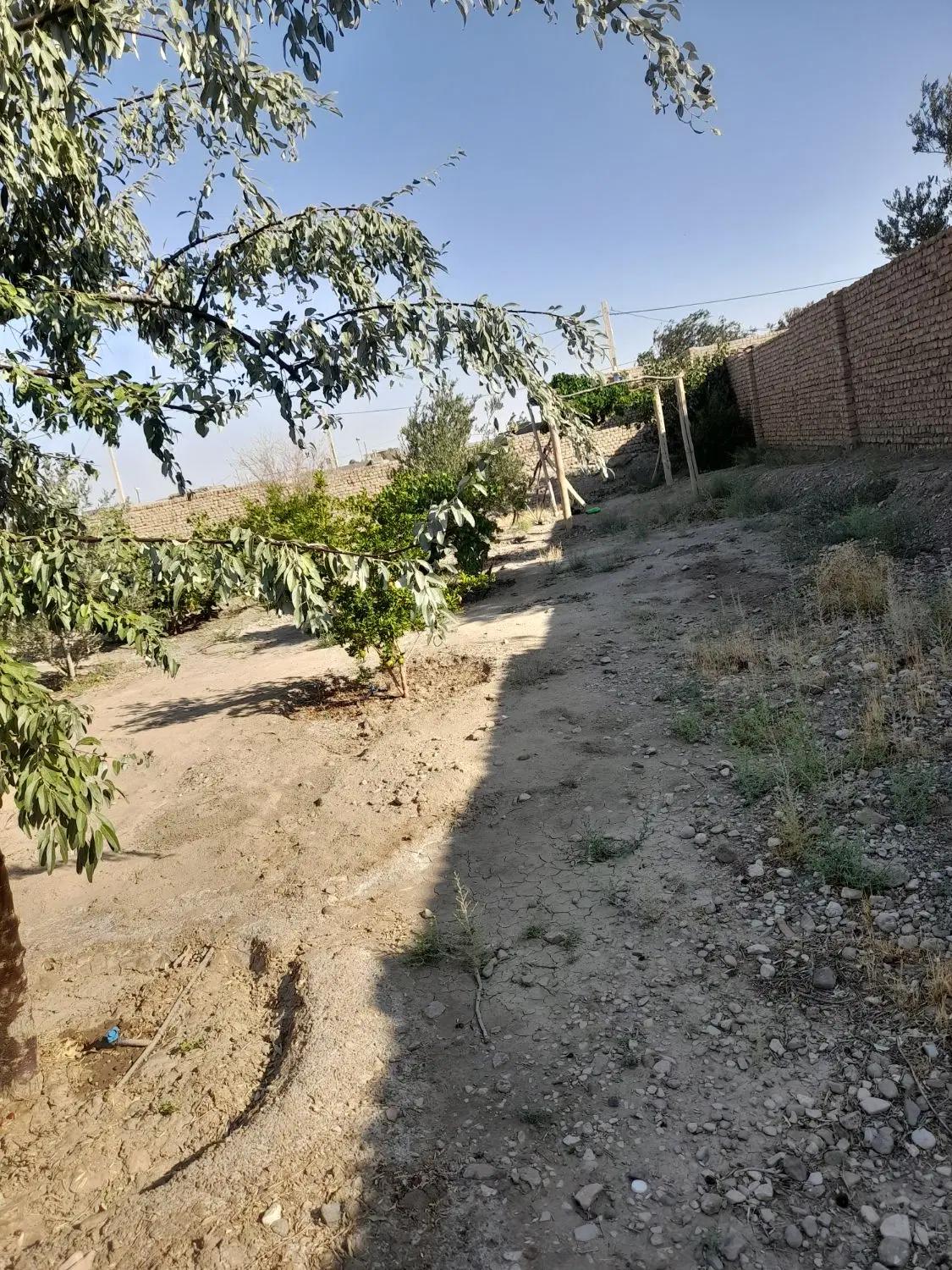فروش باغ