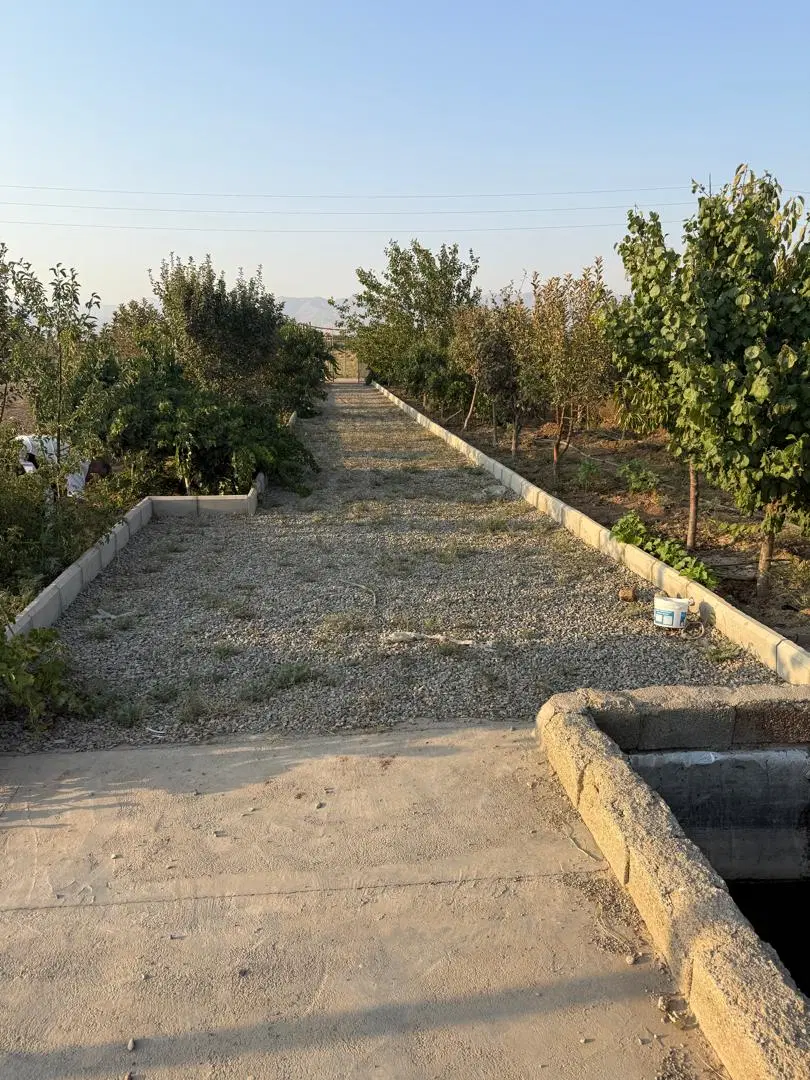باغچه ۵۰۰ متری _ مثمر _ خسرو آباد _ قیمت کاسبی