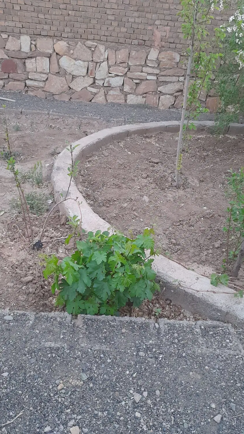 زمین فروشی ۵۲۰ متر
