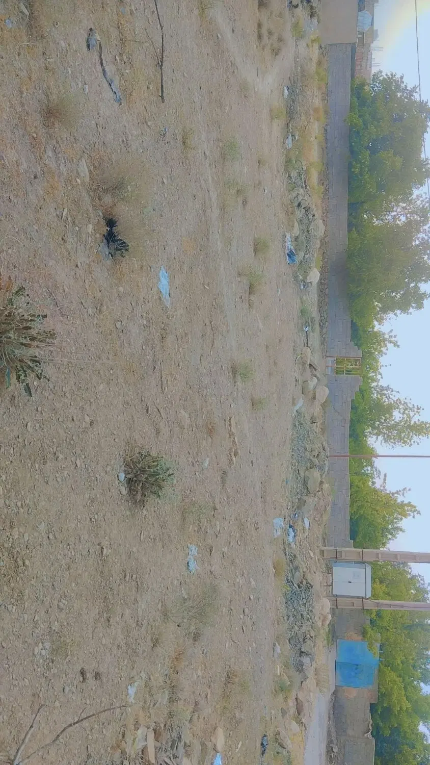 زمین سکنج قصبی 80