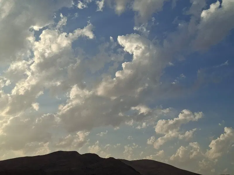 زمین در منطقه ی بکر و خوش آب و هوای زیاران