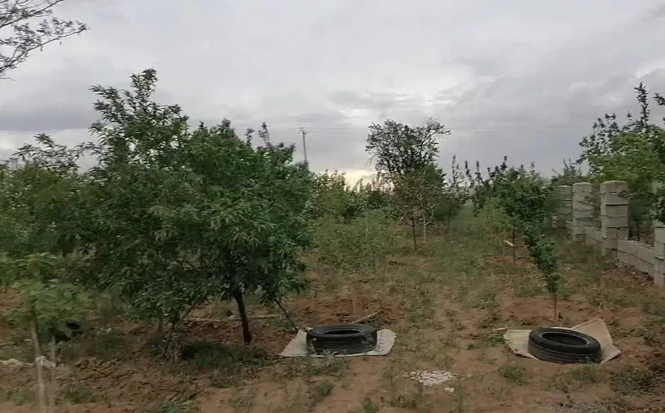 فروش باغ ۱۱۰۰ متر
