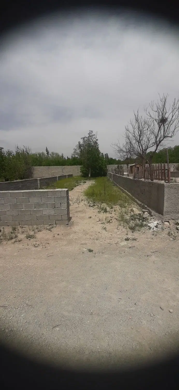 باغچه چهار دیواری