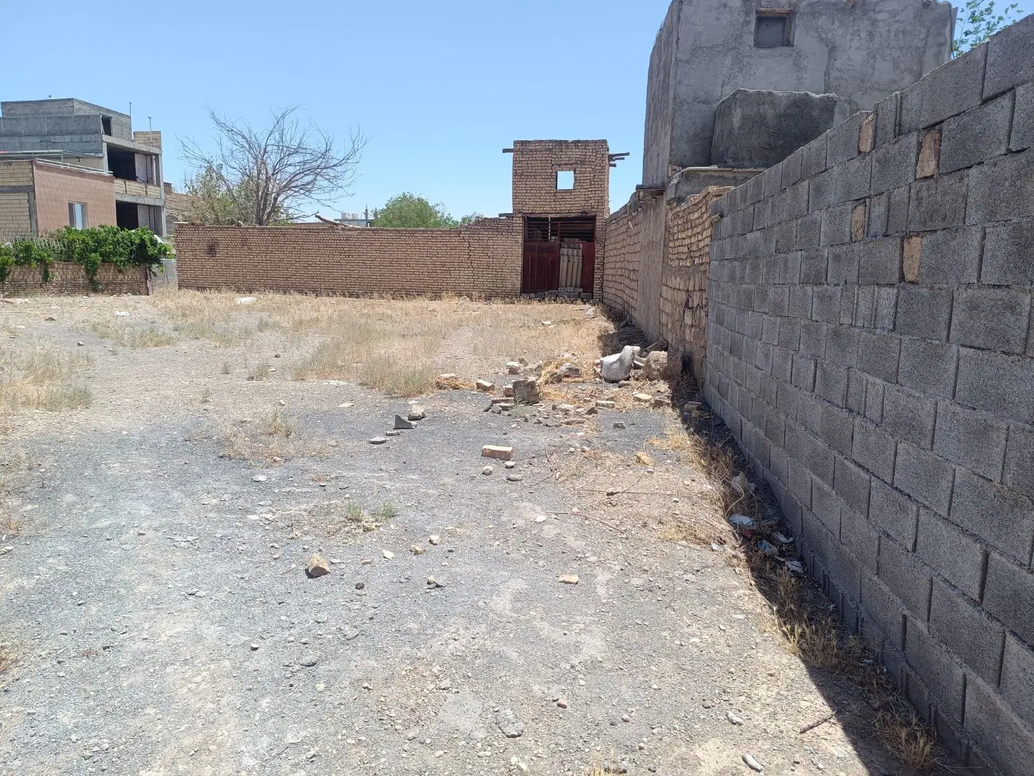 زمین کشاورزی