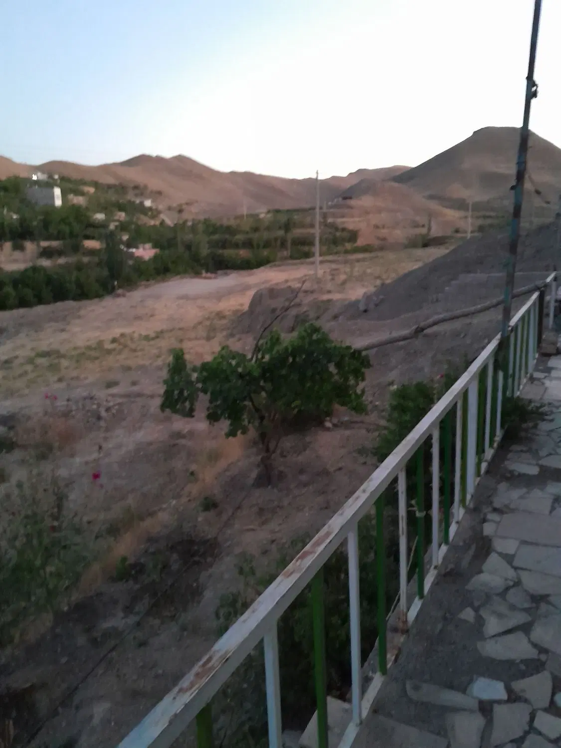 باغ فروشی