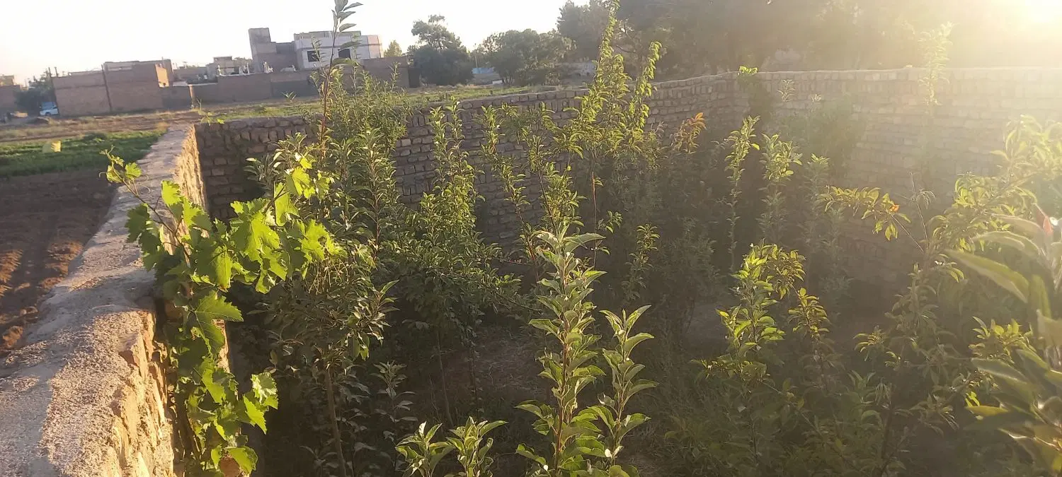 باغ نقلی معاوضه