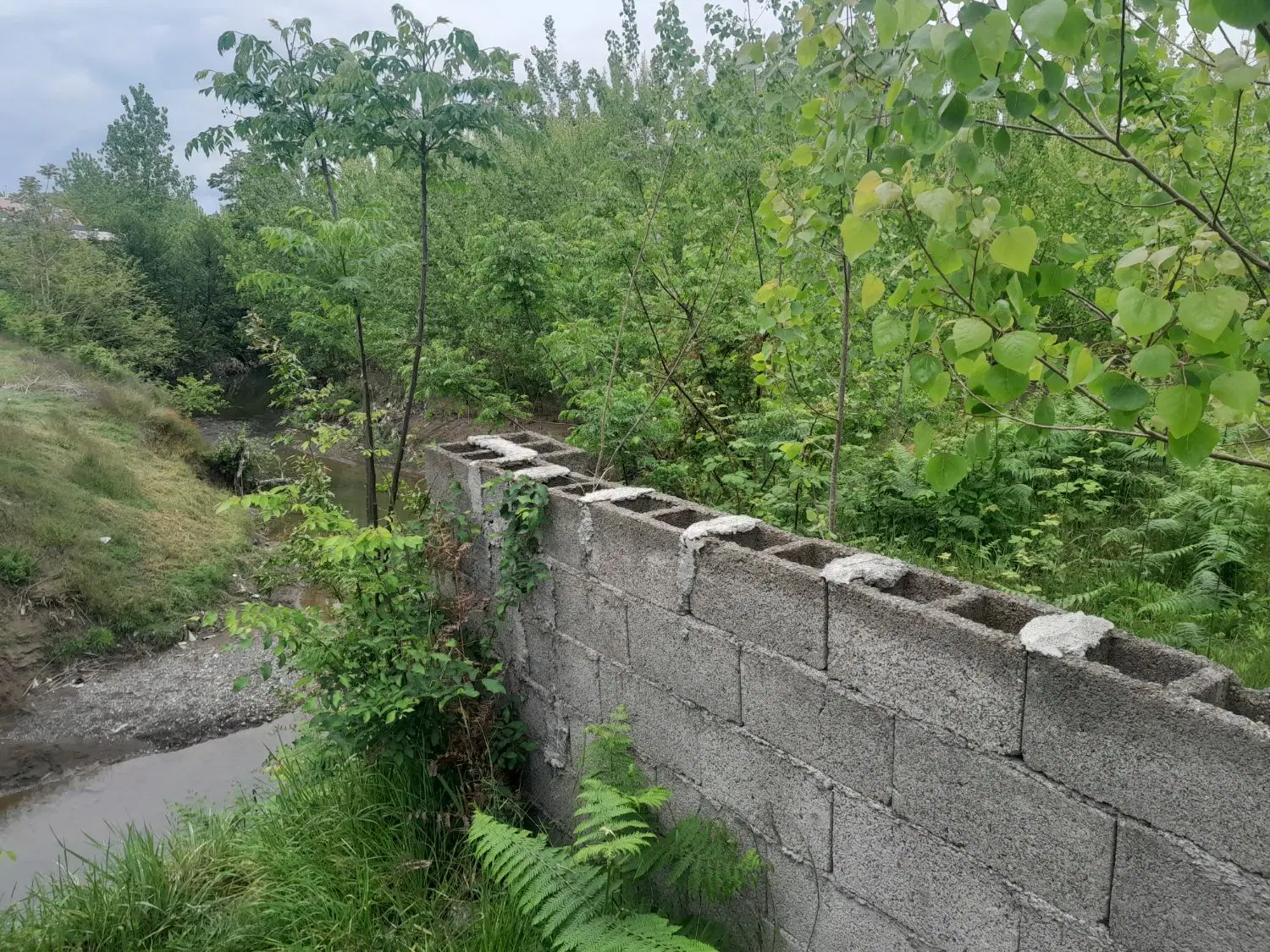 ۲۸۰۰ متر زمین باغی