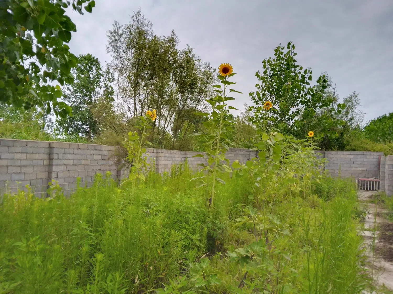 فروش زمین ویلای