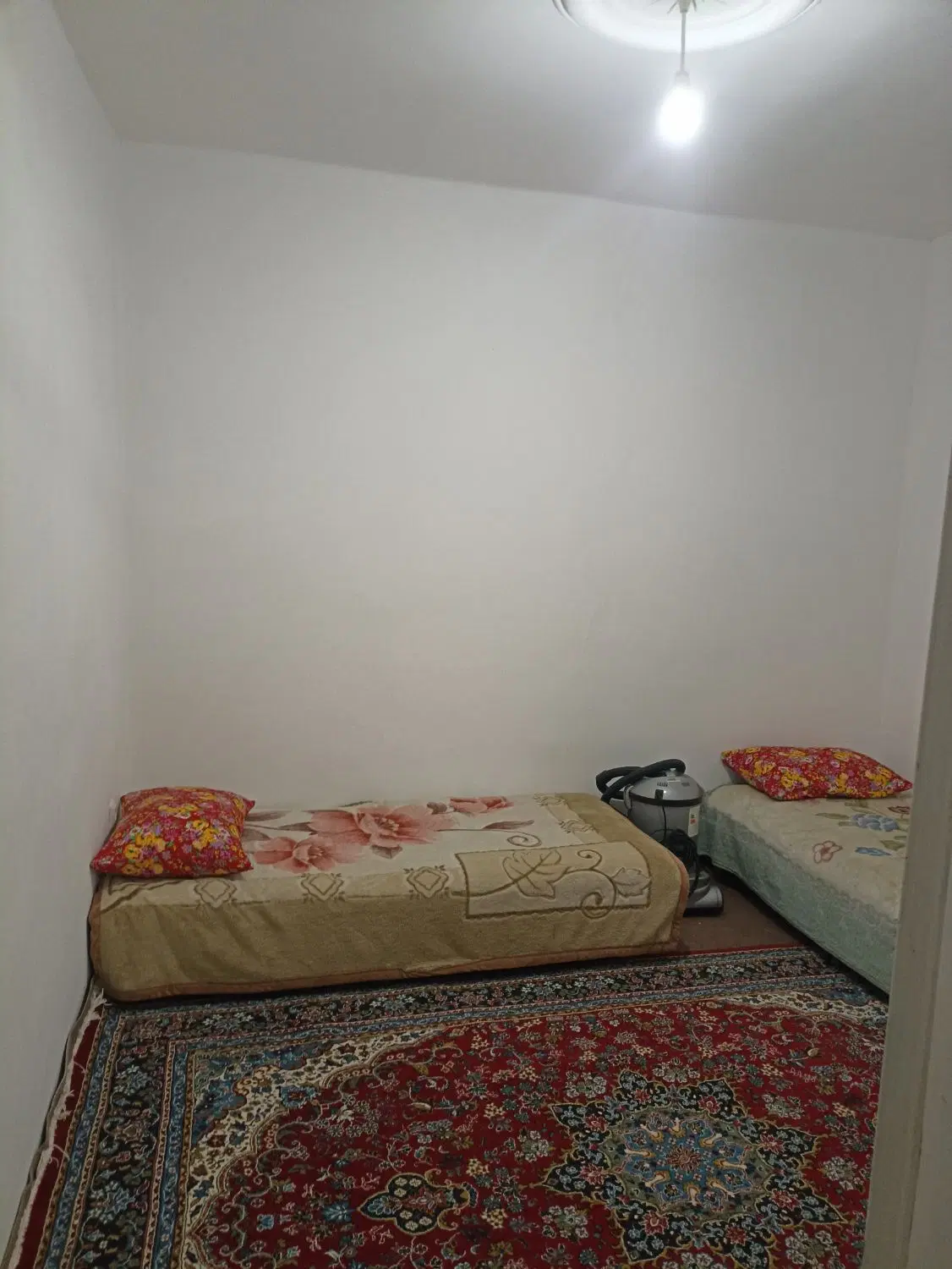 سوییت