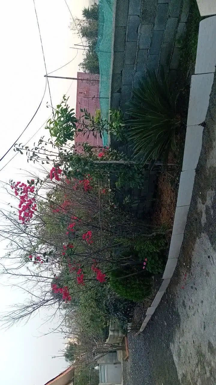 خانه ویلایی