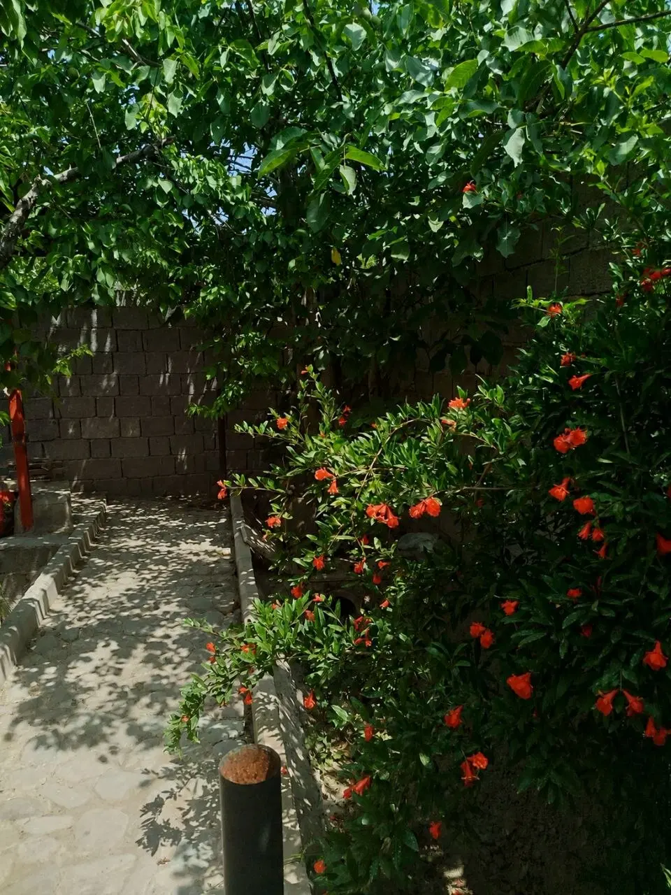 باغ فروشی