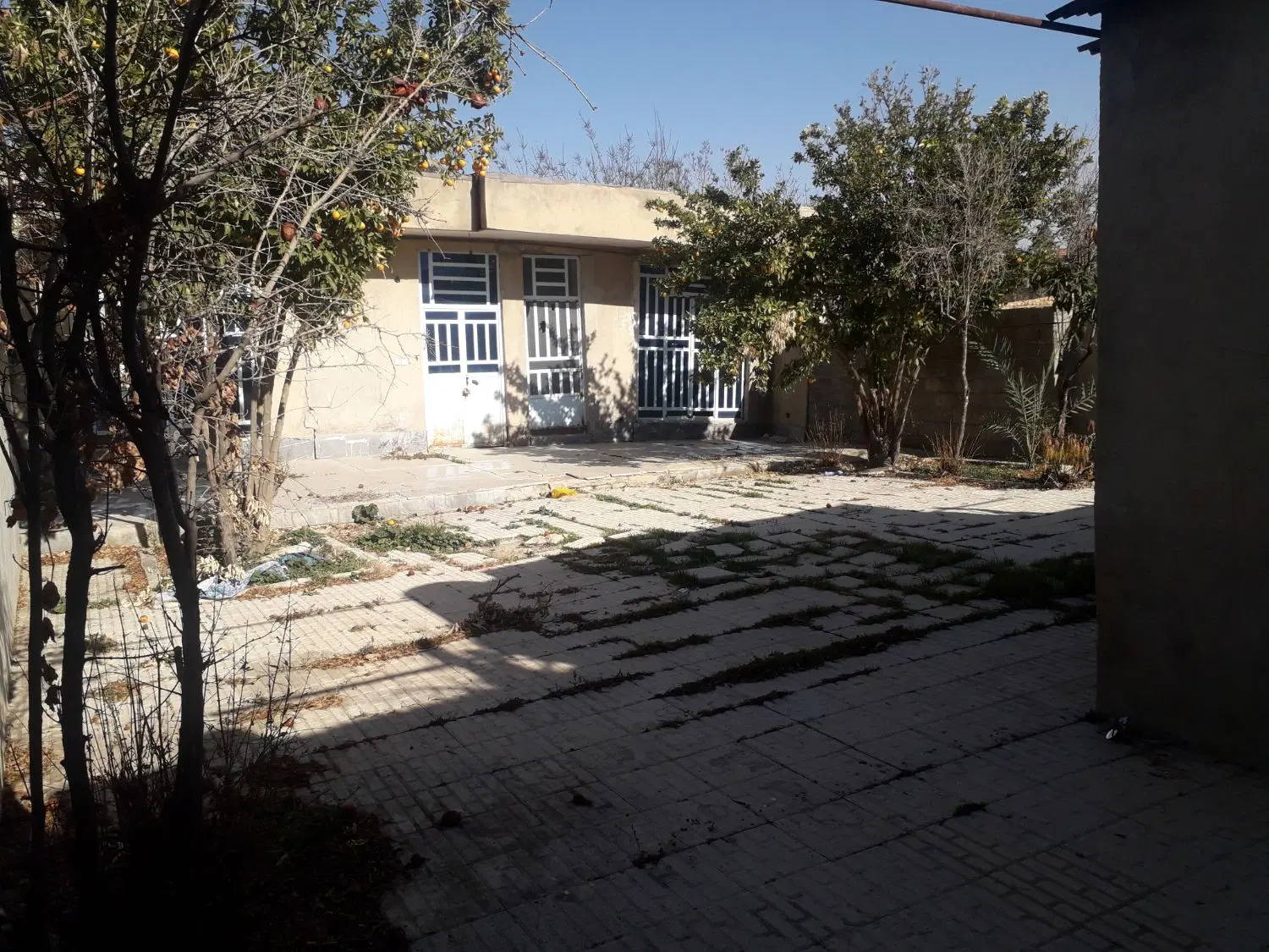 زمین ۳۱۳ متر شیخ عبود