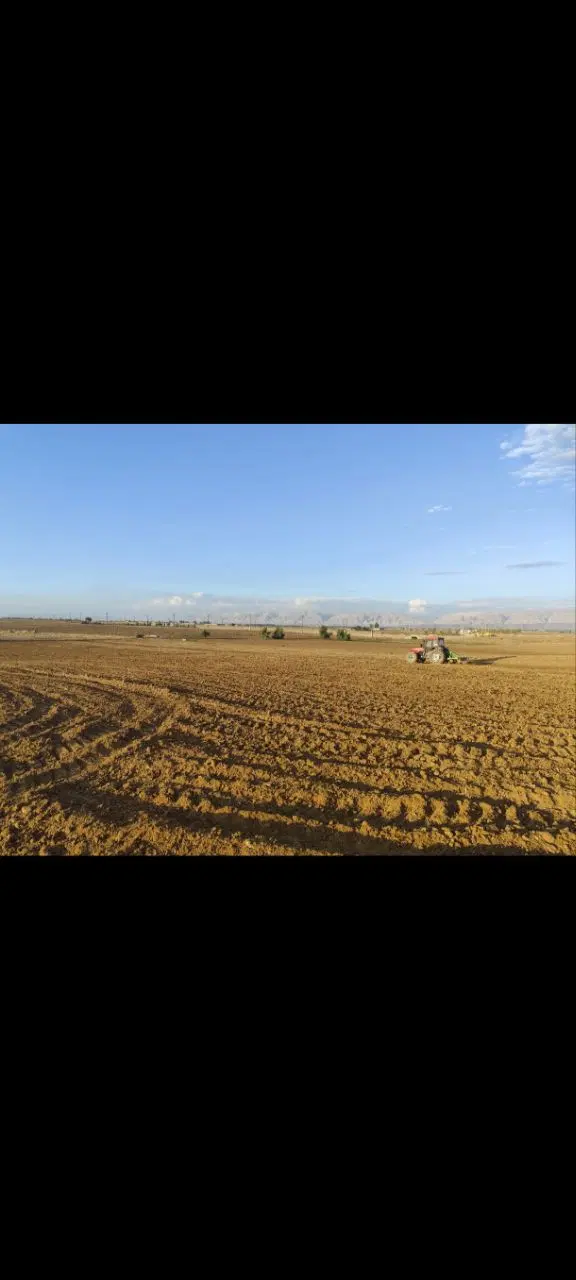 زمین کشاورزی
