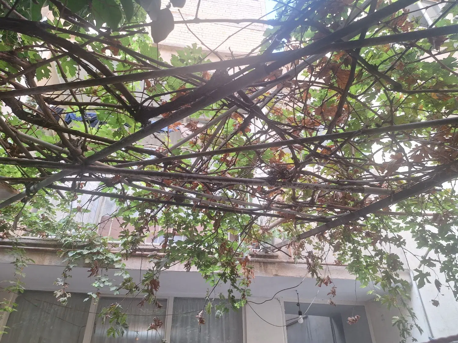 مسکونی