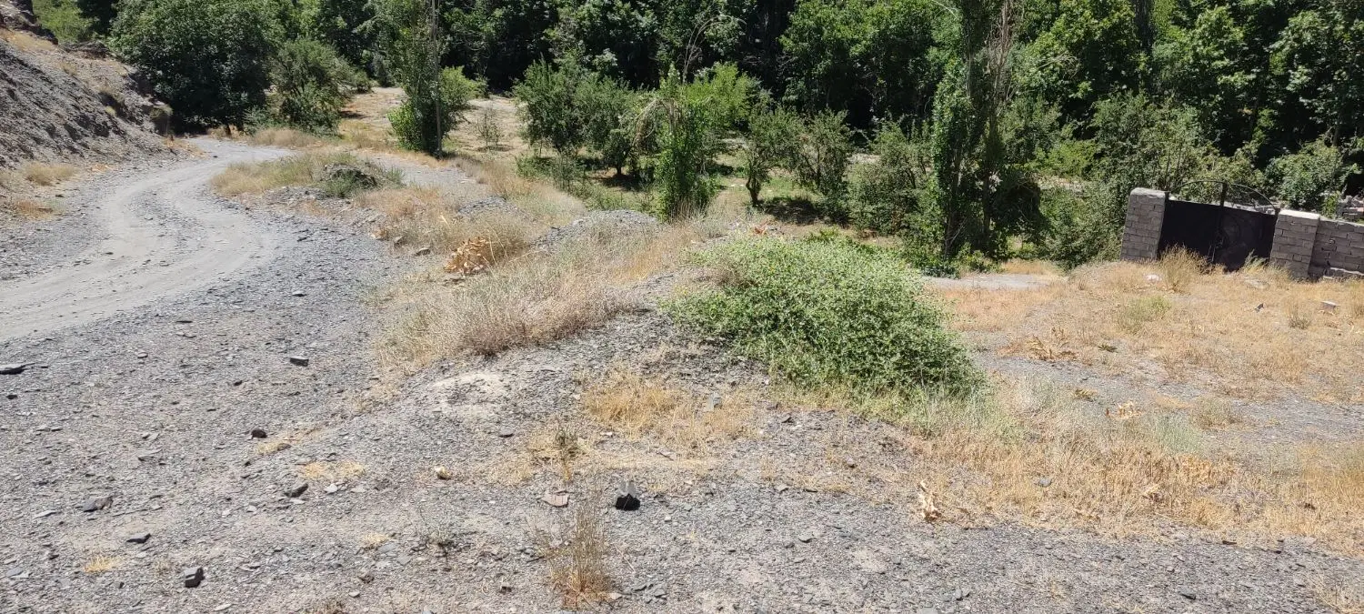 زمین کشاورزی اردمه